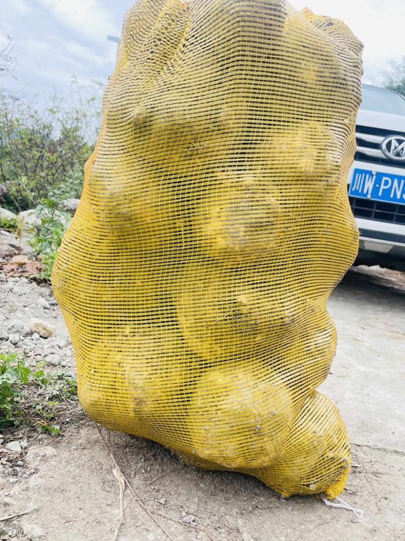 现挖，现发，品质没得说