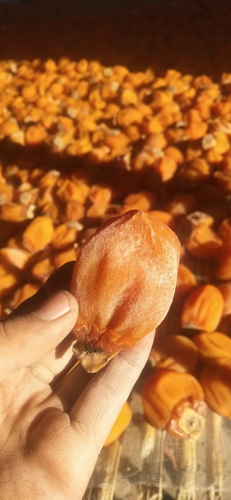 柿饼流心柿饼非富平柿饼
