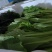 各种叶菜