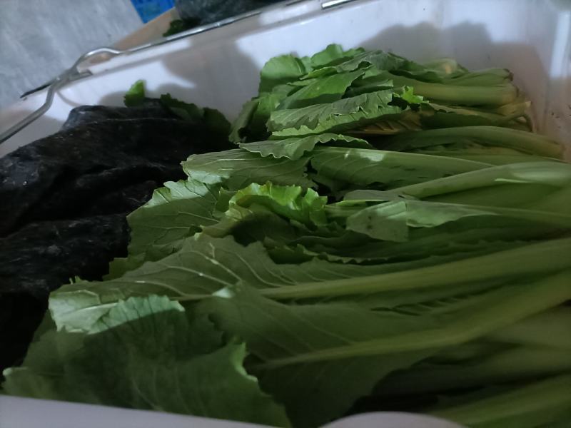 各种叶菜