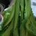 各种叶菜