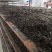 原产地头水无沙紫菜厂家批发没有中间商货源充足霞浦直发