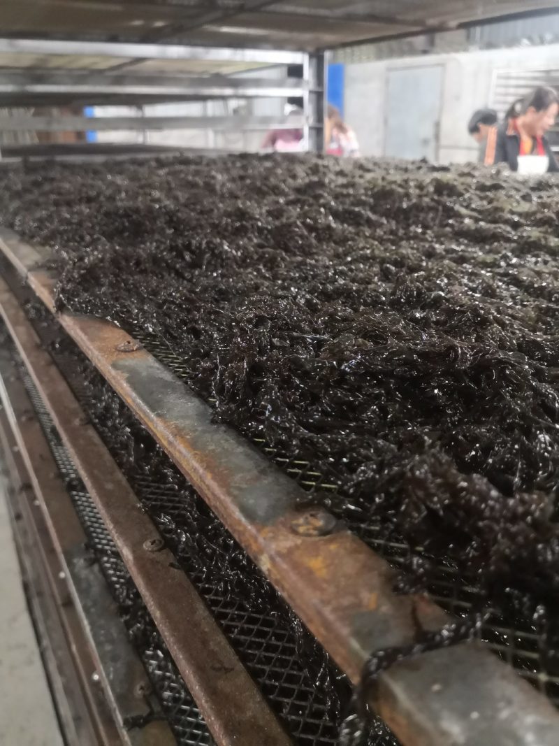 原产地头水无沙紫菜厂家批发没有中间商货源充足霞浦直发