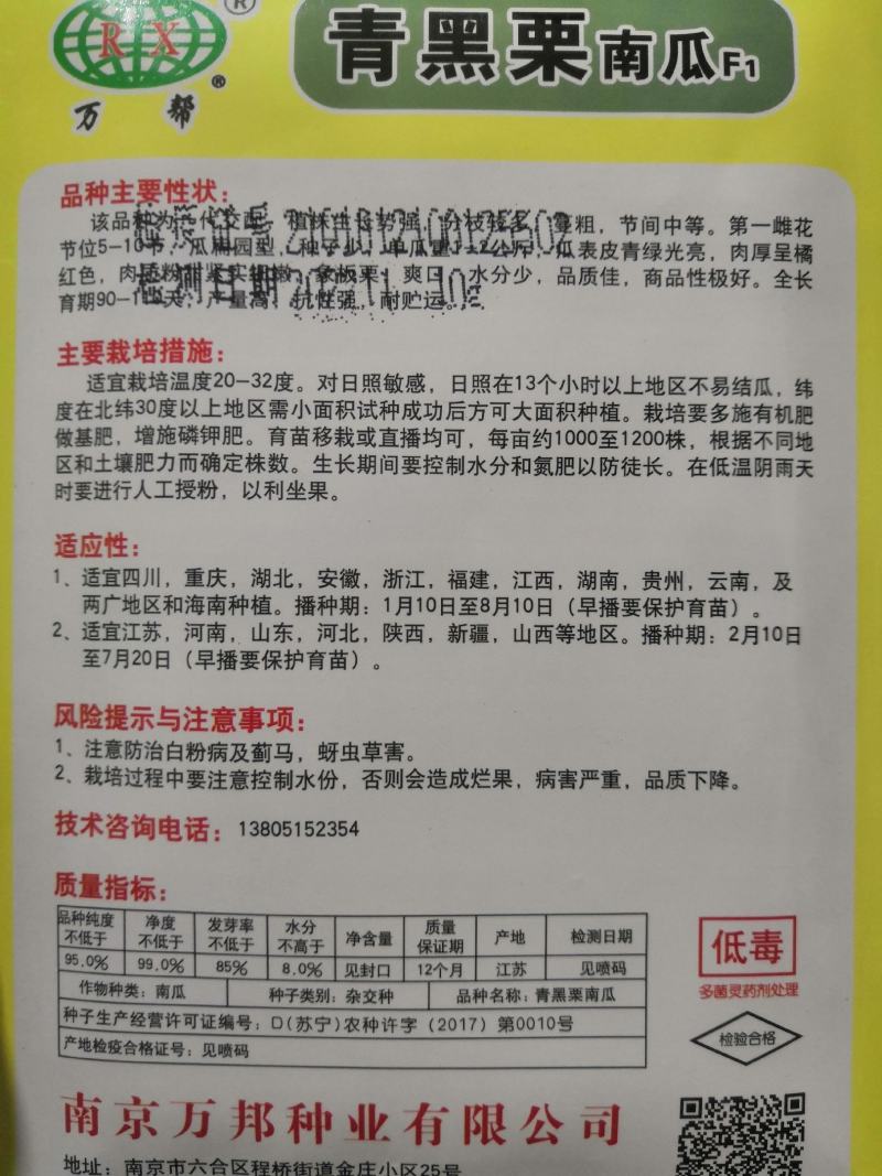 银栗南瓜种子F1一代杂交