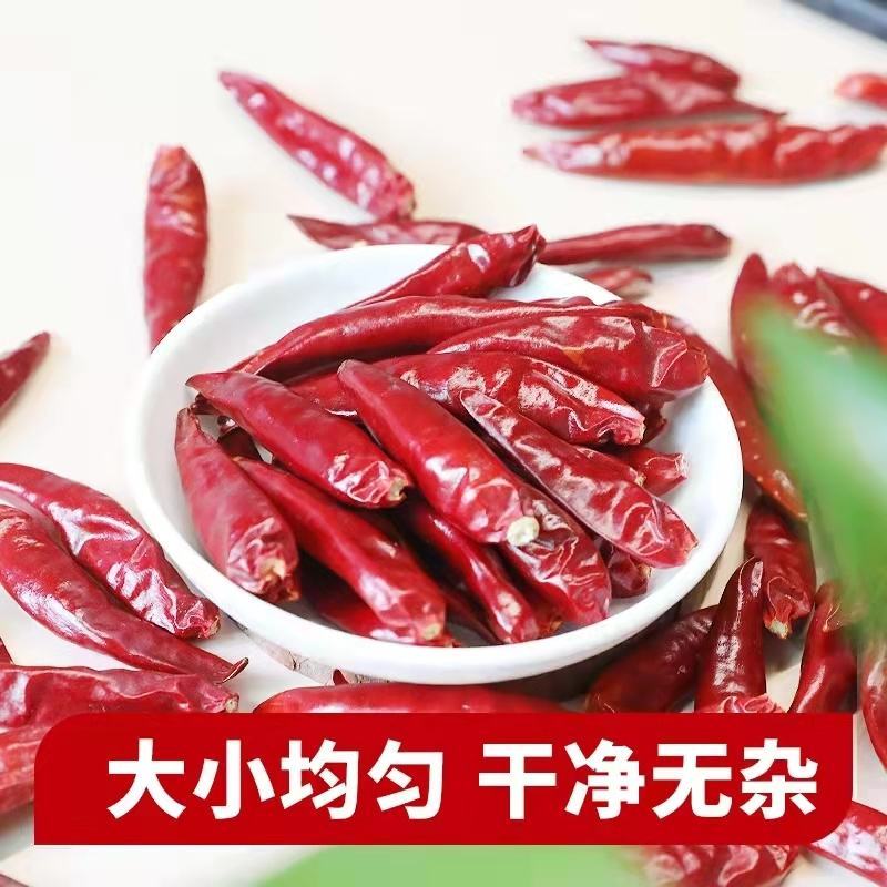 河北邢台新一代辣椒有2千多斤需要联系