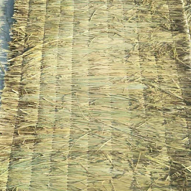 绿化草帘，保温草帘草绳，稻壳