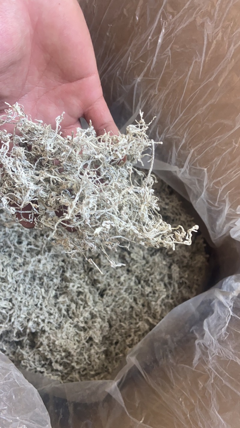 高品质藤茶产地发货张家界莓茶藤茶欢迎咨询合作