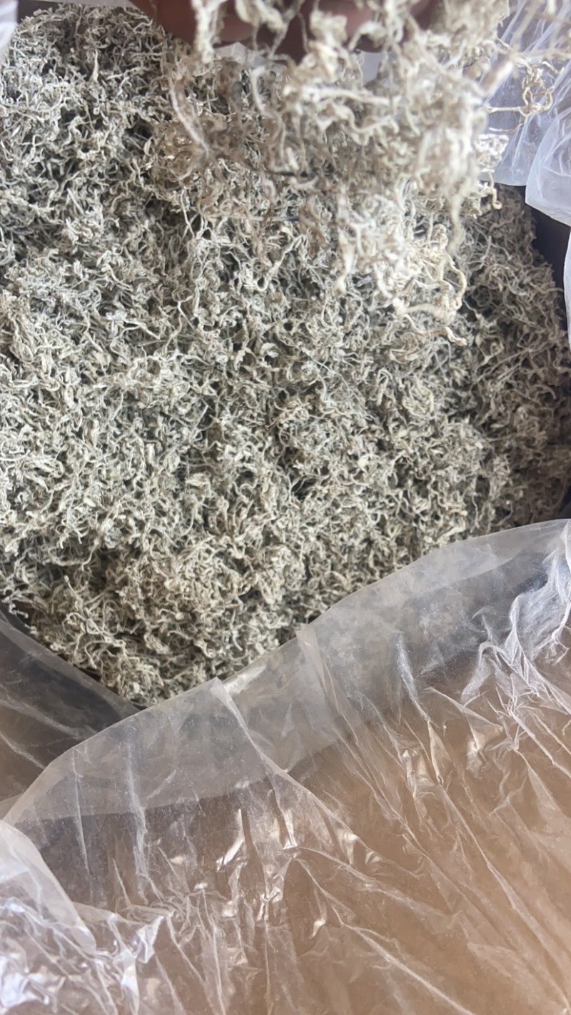 高品质藤茶产地发货张家界莓茶藤茶欢迎咨询合作