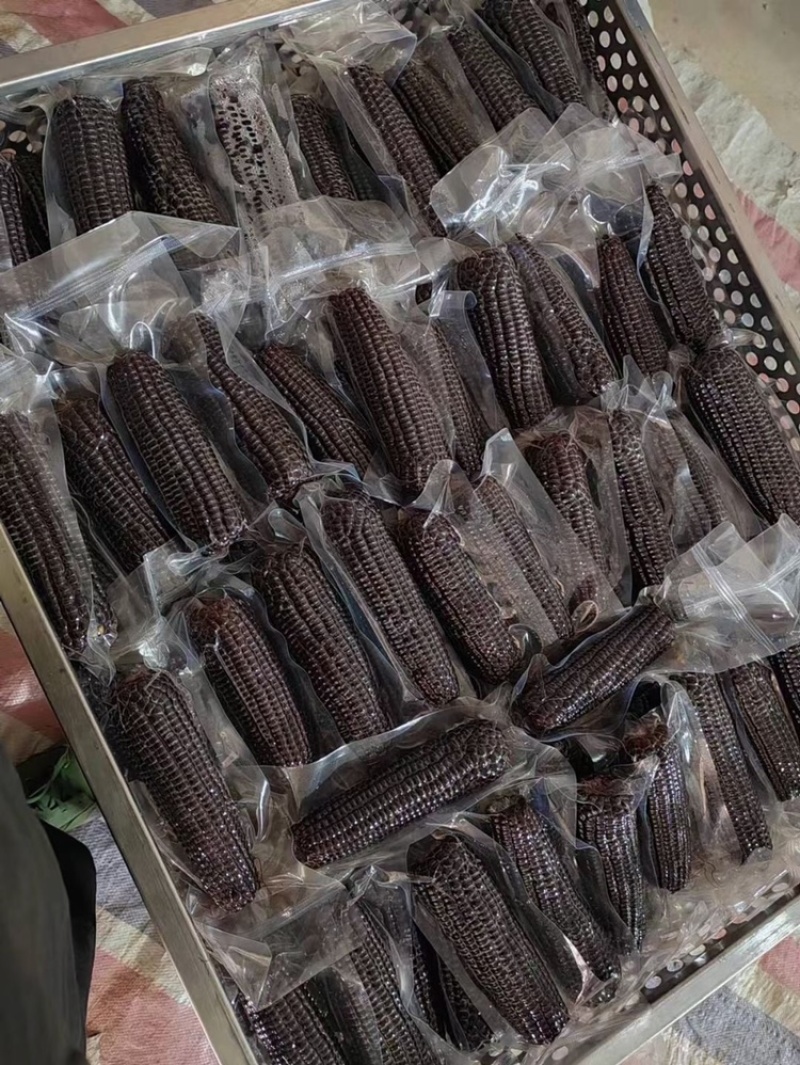 真空包装黑玉米