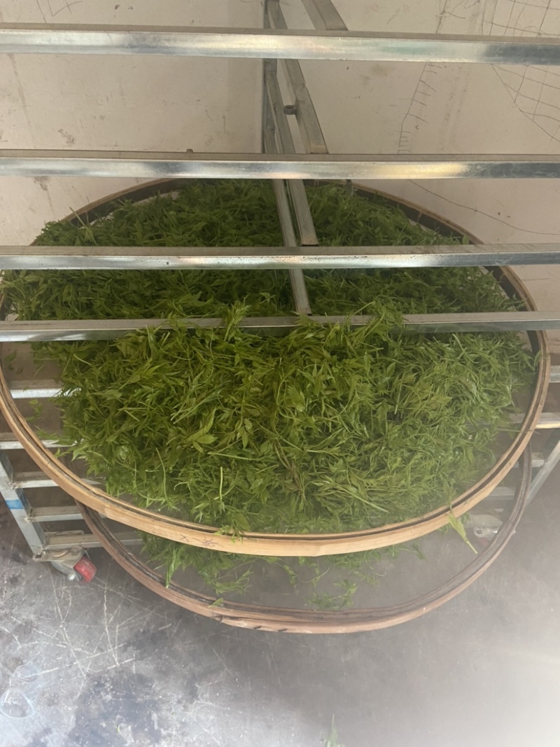 张家界永定区莓茶、小叶种藤茶、土家甘露、长寿藤、神仙草