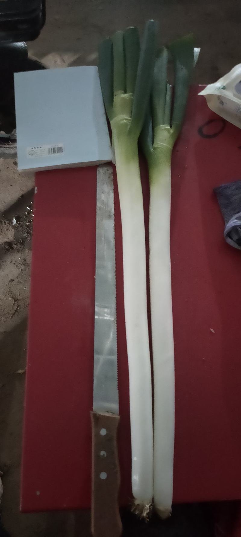 河北精品钢葱，产地货源，保质保量，价格便宜，欢迎来电