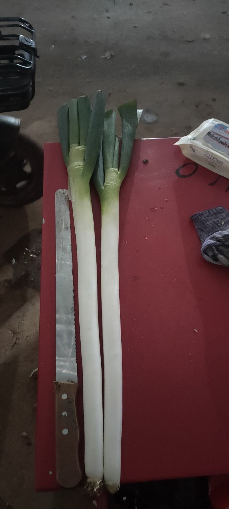 河北精品钢葱，产地货源，保质保量，价格便宜，欢迎来电
