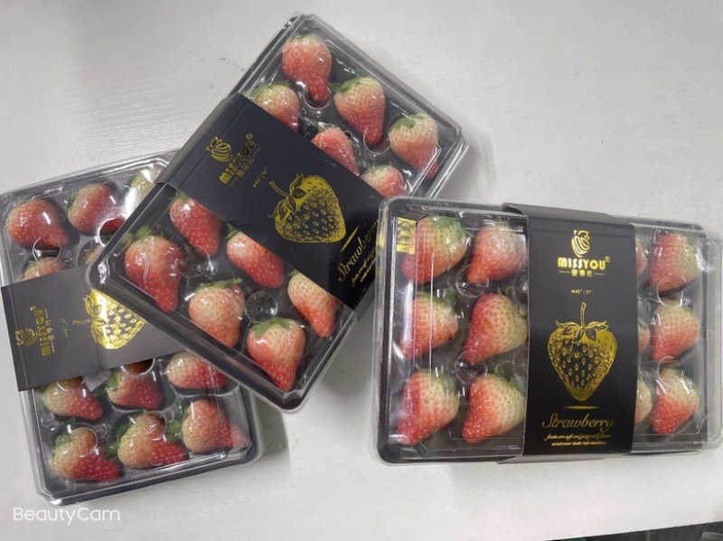 丹东九九红颜草莓一手货源，量大从优，可视频看货，欢迎电话联系