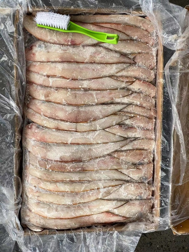 山东青岛舌头鱼，大型冷库直发，货源充足，质量保证