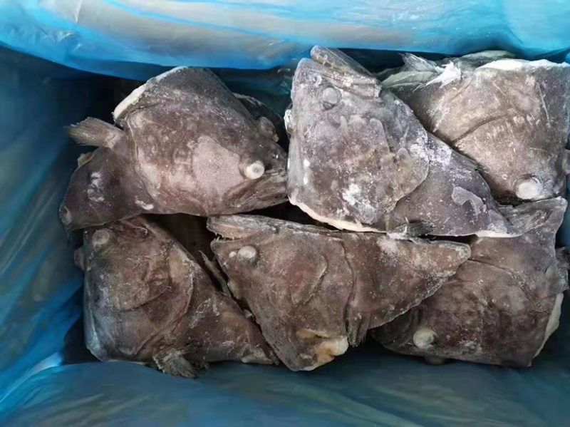 山东青岛比目鱼，大量到货，现货直发，欢迎洽谈
