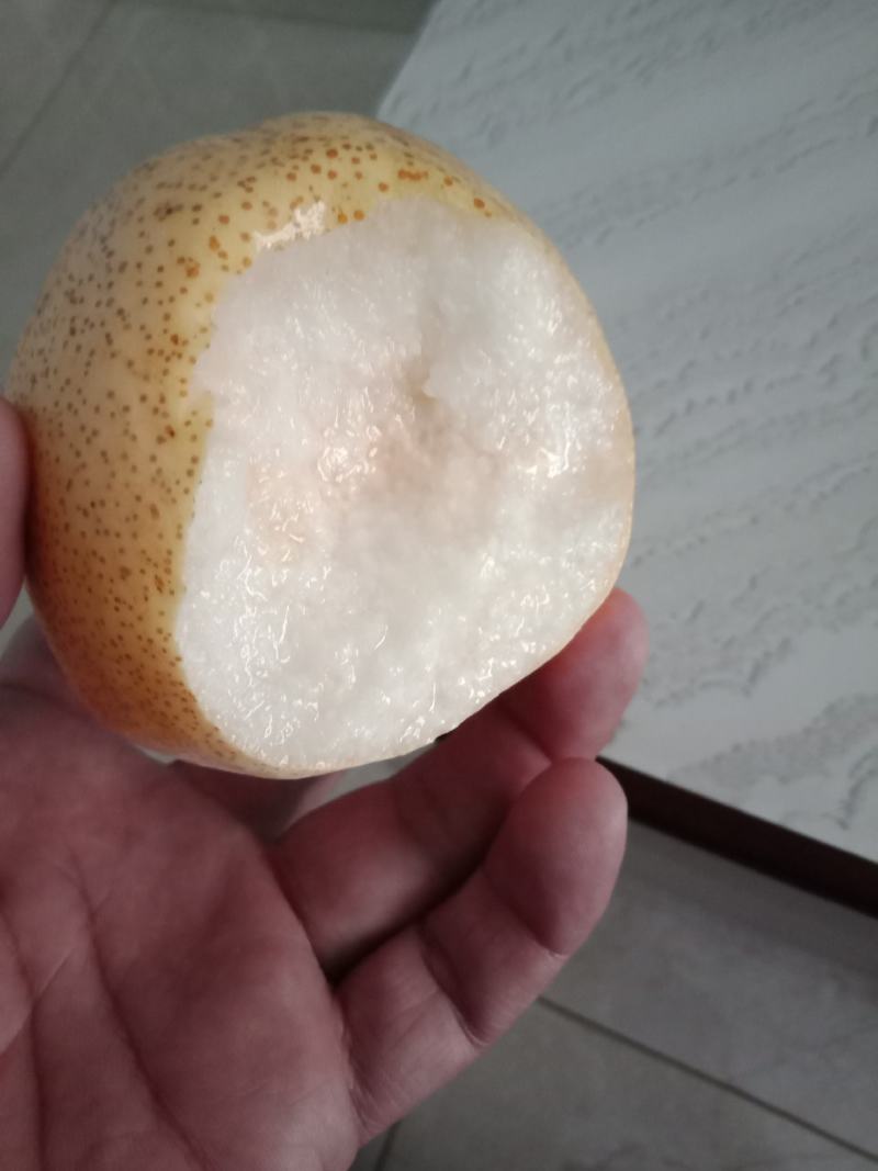 砀山酥梨，果面干净，汁多甘甜，含糖量高，保证质量！