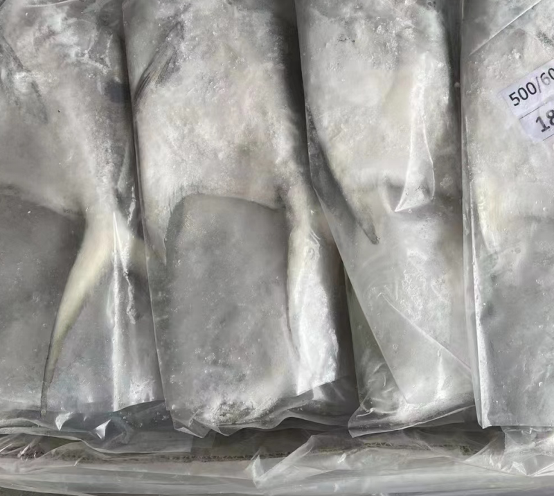 山东青岛鲳鱼大量到货，货源充足现货现发欢迎询价