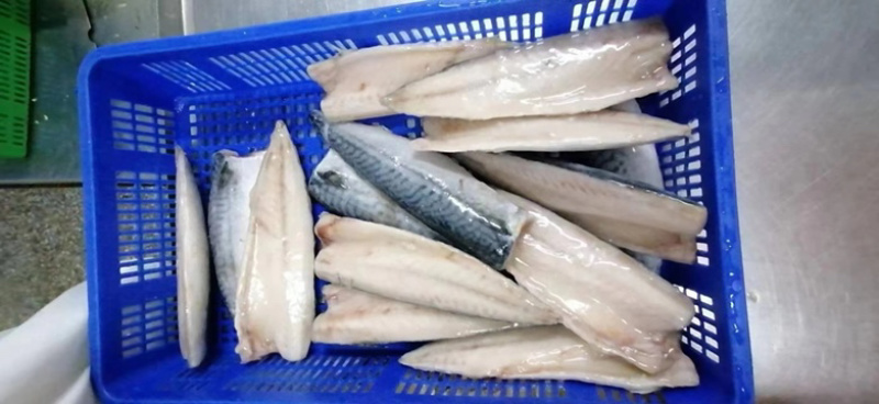 山东青岛鲭鱼片大量到货现货现发货源充足欢迎咨询