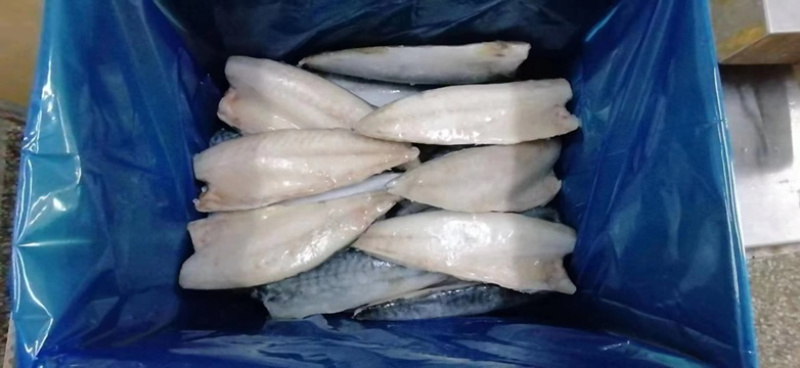 山东青岛鲭鱼片大量到货现货现发货源充足欢迎咨询