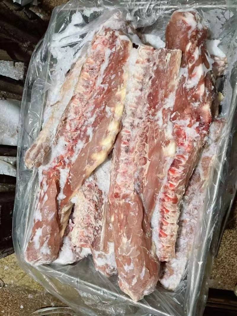 乳牛犊牛，多肉脊骨
