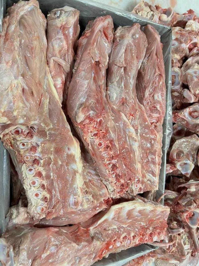 乳牛犊牛，多肉脊骨