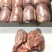 精品乳牛犊牛后腿肉