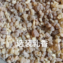 乳香中药材乳香药材生乳香道地中药材乳香珠一公斤起批