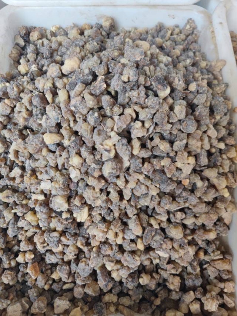乳香中药材乳香药材生乳香道地中药材乳香珠一公斤起批