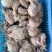 乳牛腱子肉，纯干无调理乳牛腱子肉。