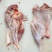 乳牛腱子肉，纯干无调理乳牛腱子肉。