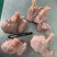 乳牛腱子肉，纯干无调理乳牛腱子肉。