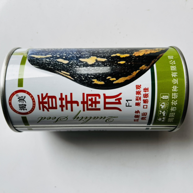 香芋南瓜种子中熟品种杂交品种种子