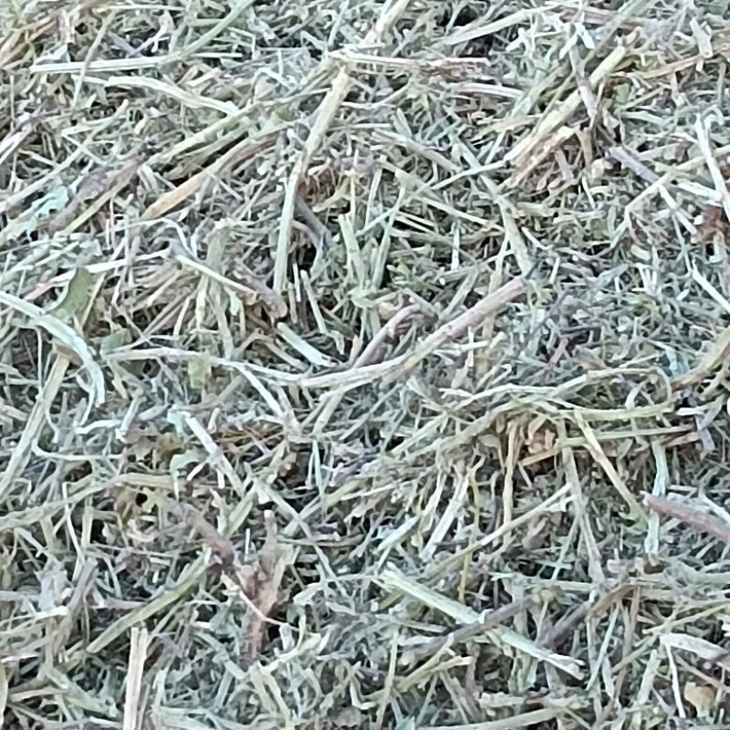 优质花生秧
