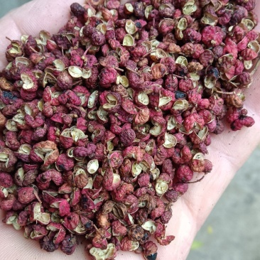 陕西韩城大红袍，山东沂蒙山花椒。