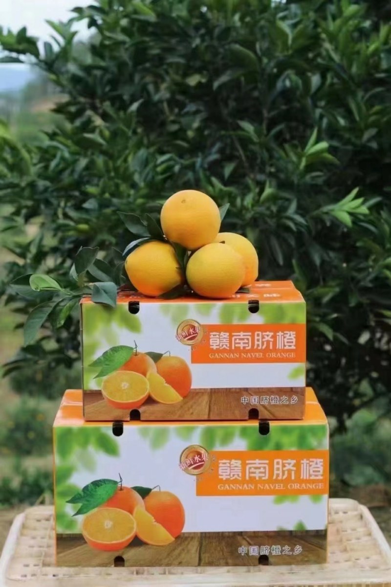 赣南脐橙