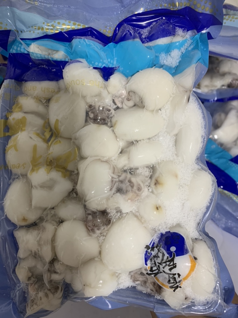 北海厂家B级墨丁墨鱼仔目鱼仔一手货源直供价格低