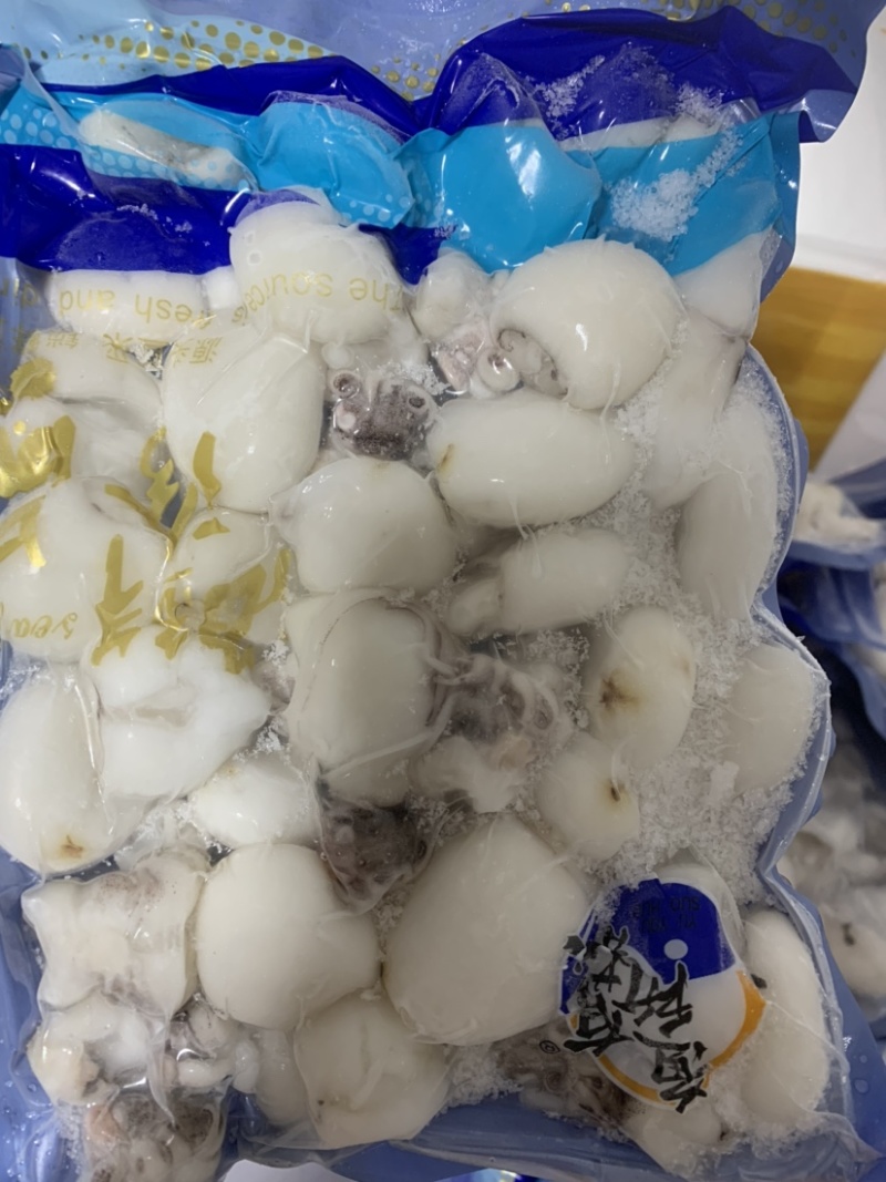 北海厂家B级墨丁墨鱼仔目鱼仔一手货源直供价格低