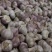 精品大蒜邳州大蒜紫皮蒜产地一手货源品质保证实力代办