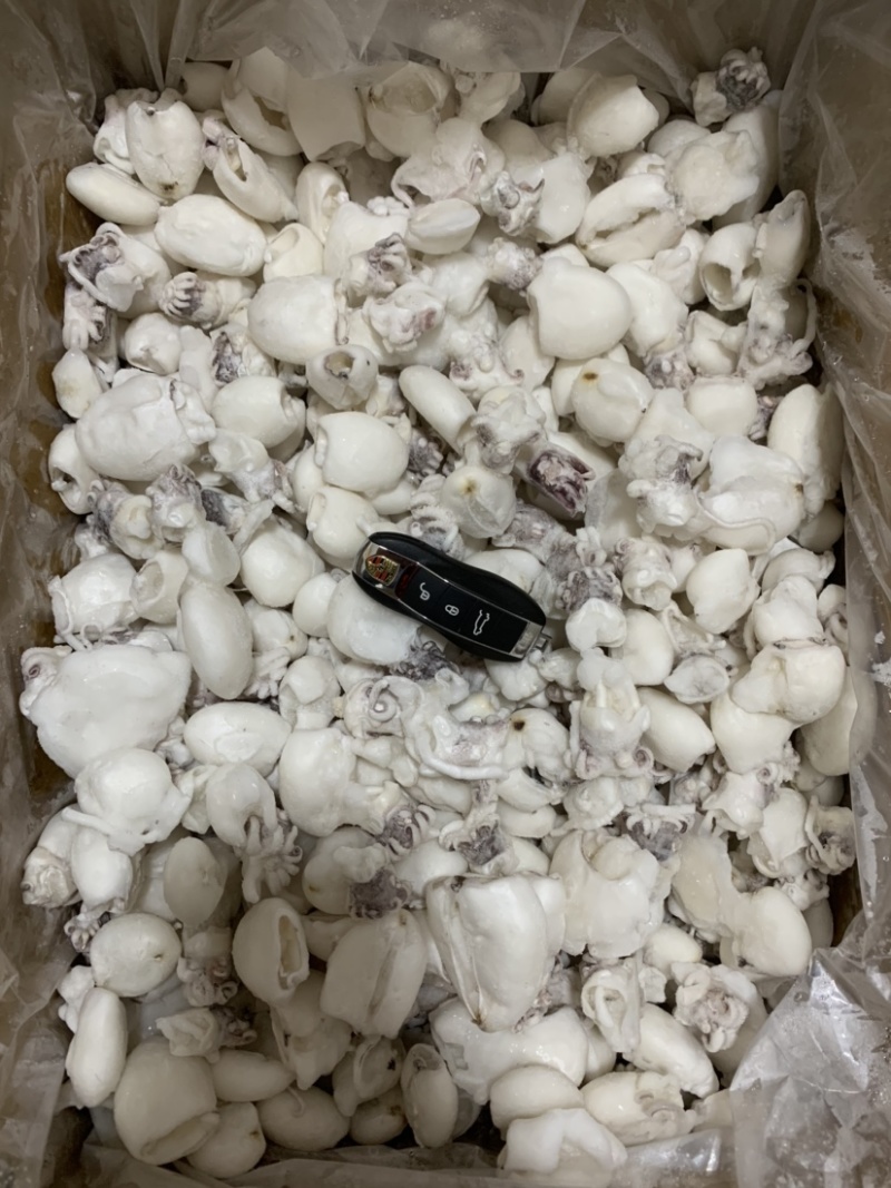 北海厂家B级墨丁墨鱼仔目鱼仔一手货源直供价格低
