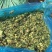 青贮玉米秸秆，原产地直发，