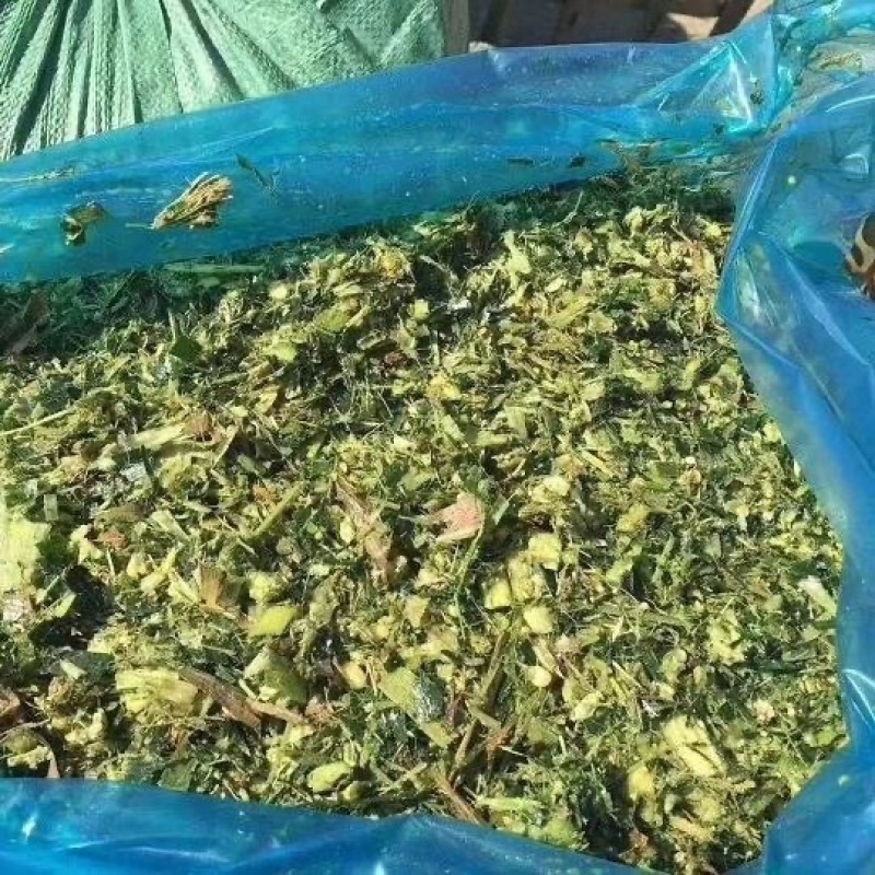 青贮玉米秸秆，原产地直发，