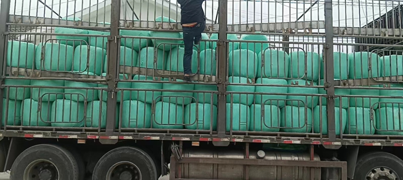 青贮玉米秸秆，原产地直发，