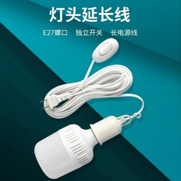 包邮灯座插座灯泡带插头e27螺口家用灯头带线带开关悬吊式