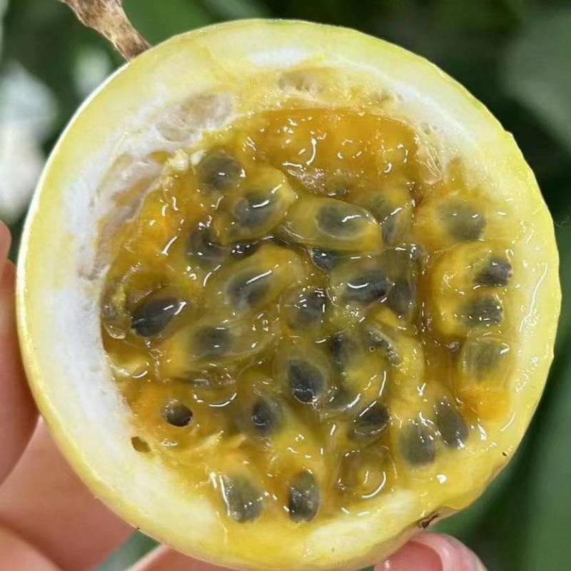 【推荐】海南纯甜钦密9号百香果，大量供应，产地发货，欢迎