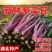 红菜苔。产地一手货源，无中间商，支持发货，欢迎订购
