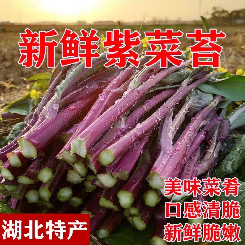红菜苔。产地一手货源，无中间商，支持发货，欢迎订购