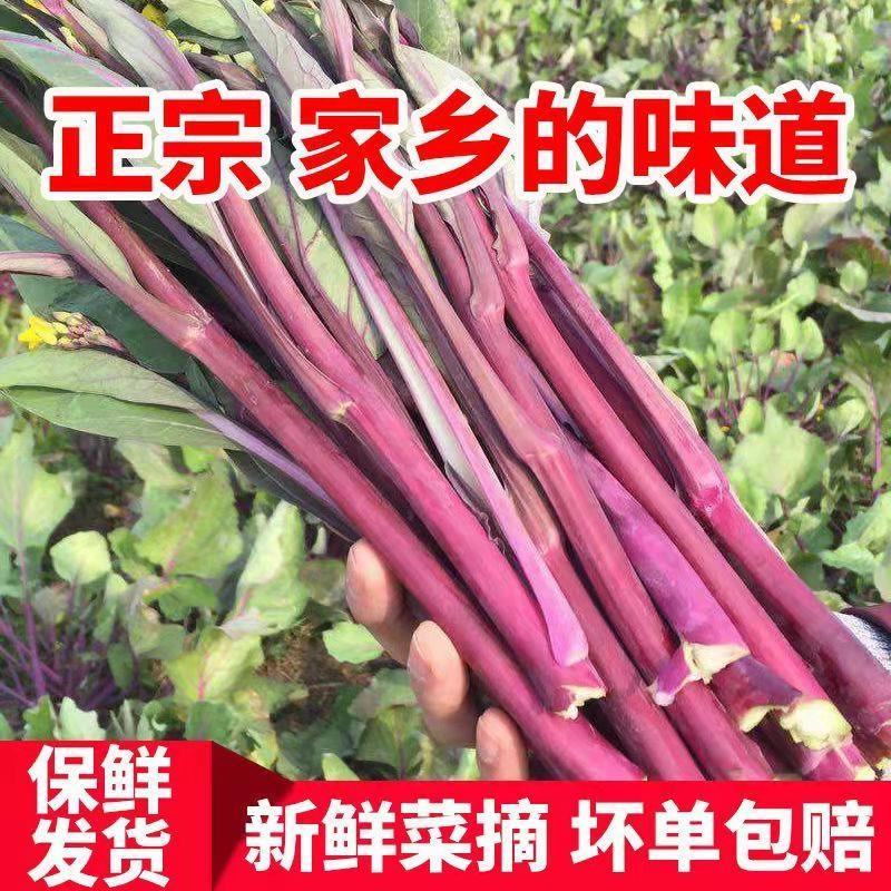红菜苔。产地一手货源，无中间商，支持发货，欢迎订购