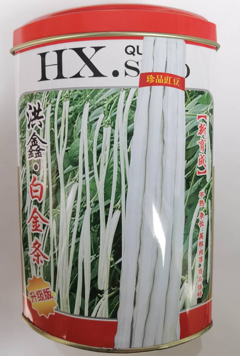 洪鑫白金条白皮豇豆种子早熟银白皮长豆角耐低温荚长豇豆种