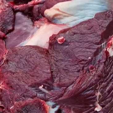 梅花鹿肉梅花鹿肉肉质新鲜口感好鹿场售卖量大从优