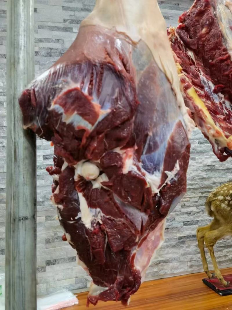 梅花鹿肉梅花鹿肉肉质新鲜口感好鹿场售卖量大从优